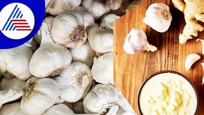 Roasted Garlic: வறுத்த பூண்டில் இவ்வளவு பயனா...? ஆண்களுக்கு அந்த விஷயத்திற்கு சூப்பர் உணவாகும்...