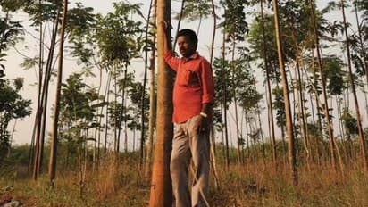 Save Soil movement: Story of a civil engineer's organic coconut farm