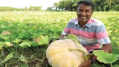 तमिलनाडु के इंजीनियर किसान ने आखिर कैसे खेती को कर दिया ट्रांसफॉर्म, कहा- क्रेडिट गोज टू ईशा एग्रो मूवमेंट