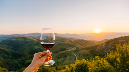 5 vineyards that every wine lover must visit in India