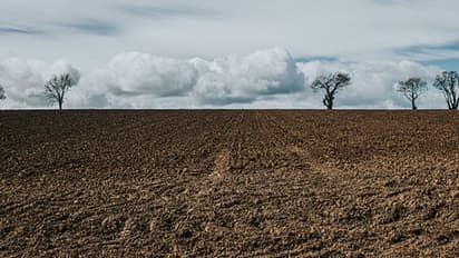 ದಾವಣಗೆರೆಯಲ್ಲಿ ಫಲವತ್ತಾದ ಮಣ್ಣಿನ ಮಾರಾಟ ಭರಾಟೆ ಜೋರು