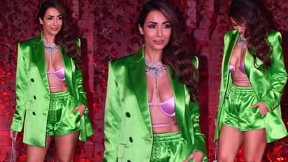 স্তন বার করে 'ব্রা'-র উপর জ্যাকেট চাপিয়েই পার্টিতে হাজির মালাইকা, অন্তর্বাস দেখাতেই চরম ট্রোলড