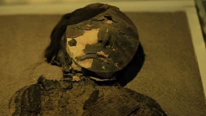 रेगिस्तान में इस मुद्रा में मिला हजारों साल पुराना कंकाल, सूखी चमड़ी और सिर पर बाल देख हैरान हैं अधिकारी