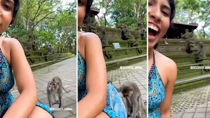 Watch: Mischievous monkey lifts a woman’s dress while capturing a video