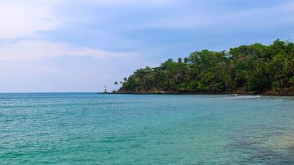 Climate alert! Massive coral bleaching in Andaman sea