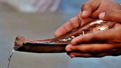 Somvati Amavasya 2022: साल की अंतिम सोमवती अमावस्या 30 मई को, पितृ दोष शांति के लिए करें ये उपाय