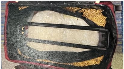 ബാഗിനുള്ളില് മയക്കുമരുന്ന് ഒളിപ്പിച്ചത് അതിവിദഗ്ധമായി; വിമാനത്താവളത്തില് പിടിയിലായ പ്രവാസിക്ക് ശിക്ഷ