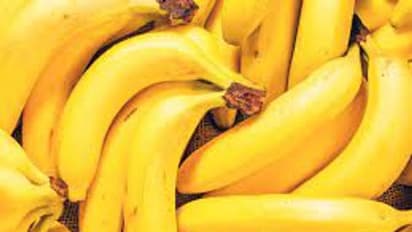 হাড় মজবুত করতে চান? তাহলে রোজ পাতে রাখুন একটা করে কলা