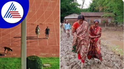 ಸ್ಟೇಡಿಯಂನಲ್ಲಿ ನಾಯಿ ಜೊತೆ ವಾಕಿಂಗ್ ಮಾಡಿದ ಅಧಿಕಾರಿ ಬೆನ್ನಲ್ಲೇ ವೈರಲ್ ಆಗ್ತಿದೆ ಈ ಮಹಿಳಾ IAS ಫೋಟೋ!