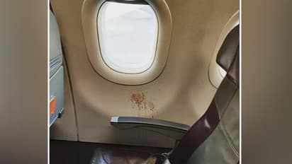 Netizen enraged after IAS officer tweets about betel nut stain in flight