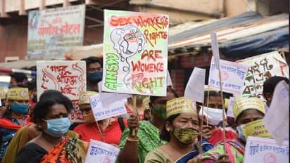 'বাধা সরিয়ে আসছে পেশা স্বাধীনতা', সুপ্রিম কোর্টের পর্যবেক্ষণে আরও এক জয় দেখছে সোনাগাছি