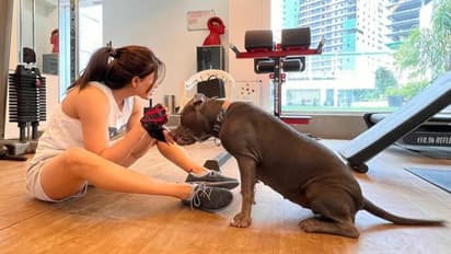 கடைசி வரைக்கும் நாயோடவே கிடந்து சாகப்போறியா?... லந்து கொடுத்த நெட்டிசனுக்கு சவுக்கடி பதிலளித்த சமந்தா