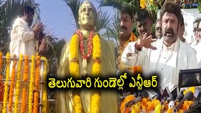 NTR Jayanti: ఒక్క తప్పిదం చేశారు.. ఇప్పుడున్న ప్రభుత్వం గుడిని, గుడిలో ఉన్న లింగాన్ని మింగే రకం: బాలకృష్ణ