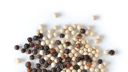 বর্ষার সময় ঝরঝরে থাকতে সাদা মরিচ উপকারী, জানুন সাদা ও কালো মরিচের মধ্যে কোনটি পুষ্টিগুণে ভরপুর