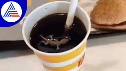 ಕೂಲ್ ಡ್ರಿಂಕ್ಸ್ ನಲ್ಲಿ ಸತ್ತ ಹಲ್ಲಿ, ಅಹಮದಾಬಾದ್ ಮೆಕ್ ಡೊನಾಲ್ಡ್ ಸೀಲ್ ಮಾಡಿದ ಅಧಿಕಾರಿಗಳು!