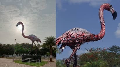 കൂറ്റൻ ഫ്ലെമിങ്ങോ, ഉയരം 61 അടി; നവിമുംബൈയിൽ ശിൽപമൊരുങ്ങി