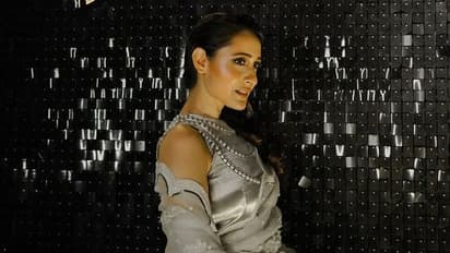 సిల్వర్‌ కలర్‌ శారీలో బాలయ్య భామ హోయలు.. లిక్కర్‌ ప్రమోషన్‌ కోసం చిలిపిగా కవ్వింపులు.. 