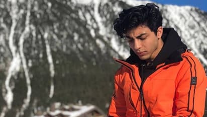 ನಿದ್ರಾಹೀನತೆಯಿಂದ ಹೊರಬರಲು ಗಾಂಜಾ ಸೇವನೆ ಕಲಿತಿದ್ದೆ: ಆರ್ಯನ್‌