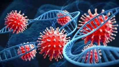 ಕರ್ನಾಟಕದಲ್ಲಿ ಓಮಿಕ್ರಾನ್ ಆತಂಕ, ಯುಕೆಯಲ್ಲಿ 2 ಲಕ್ಷ ಕೋವಿಡ್ ಕೇಸ್ ದಾಖಲು!