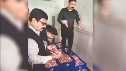 சமைக்கும் போது துர்நாற்றம்... கெட்டுப் போன இறைச்சியால் நிறுத்தப்பட்ட திருமணம்...!