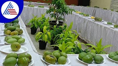 ಬಳ್ಳಾರಿಯಲ್ಲಿ ಮೊದಲ ಬಾರಿಗೆ ಮಾವು ಮೇಳ: ಎಲ್ಲೆಲ್ಲೂ ಹಣ್ಣಿನ ರಾಜನದ್ದೇ ದರ್ಬಾರ್..!