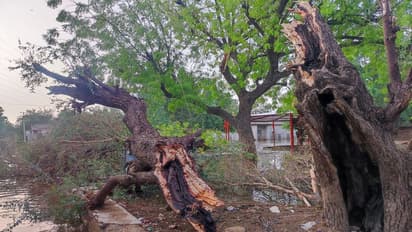 అస్సాంలో భీకర తుఫాను.. దెబ్బతిన్న 400 నివాసాలు.. ఇళ్లు కూలడంతో ఏడేళ్ల మృతి..