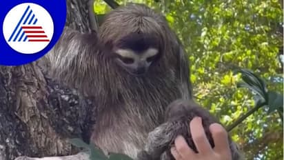 ಕಳೆದುಹೋದ ಕಂದ ಮತ್ತೆ ಸಿಕ್ಕ ಖುಷಿ: ತಾಯಿ ಮಗುವಿನ ಭಾವುಕ ಪುರ್ಮಿಲನ