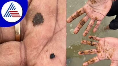 Udupi; ಕಡಲಿನ ಒಡಲಿಂದ ಬರುತ್ತಿದೆ ಜಿಡ್ಡು,ಮತ್ಸ್ಯ ಸಂತತಿ ನಾಶದ ಭೀತಿ