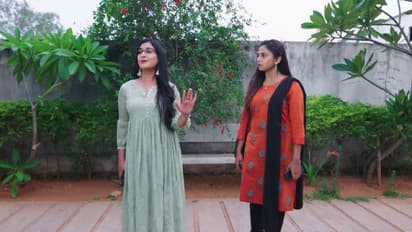 Guppedantha Manasu: రిషీ పరువు తీస్తాను.. తల్లికొడుకులను విడగొడుతాను.. వసుధారకు సాక్షి వార్నింగ్!