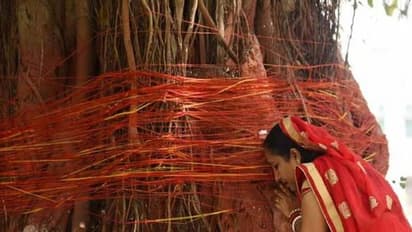 Vat Savitri Vrat 2022: आज शुभ मुहूर्त में करें वट सावित्री व्रत की पूजा, इस दिन सुनें सावित्री-सत्यवान की कथा