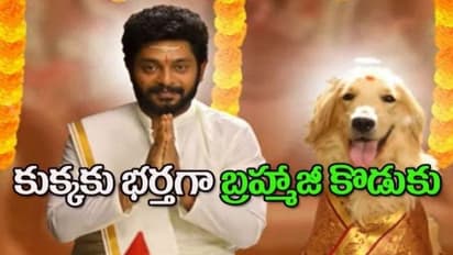 కుక్కని పెళ్లి చేసుకున్న బ్రహ్మాజీ కొడుకు, ఇదేం ట్విస్ట్ రా బాబూ