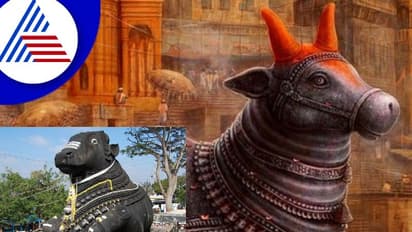 ನಂದಿಯ ಕಿವಿಯಲ್ಲಿ ಹೇಳೋ ಆಶಯ ಈಡೇರುತ್ತೆ ನಿಜ, ಆದ್ರೆ ನಿಯಮಗಳು ಗೊತ್ತಾ?