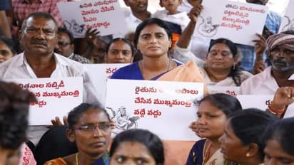 ఇప్పటికీ కేసీఆర్ కే ఓటేసారో... మీ బిడ్డలే మిమ్మల్ని క్షమించరు: రైతు గోస ధర్నాలో షర్మిల