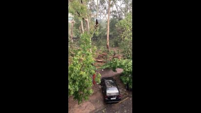 Delhi Rains: ఢిల్లీలో రాళ్లవాన.. భీకర గాలులు.. విరిగిన చెట్లు, నిలిచిన విమాన సేవలు (ఫొటోలు)