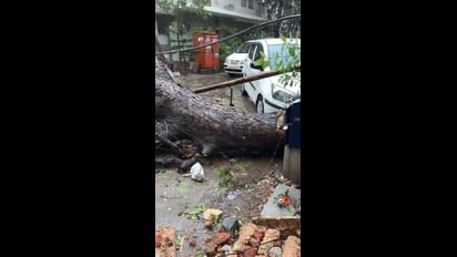 ఢిల్లీలో ఎడతెరిపి లేకుండా వర్షం.. కూలిన భవనం, ముగ్గురు మృతి