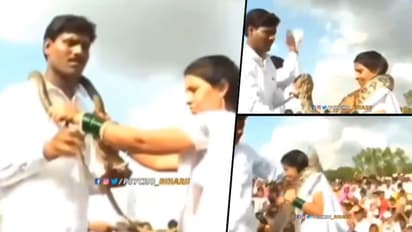 Bride, groom exchange snake garlands as part of bizarre rituals