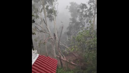 सौ किमी की रफ्तार वाली हवाओं और तेज बारिश ने रोकी दिल्ली की रफ्तार, दो लोगों की मौत, कई फ्लाइट्स डायवर्ट