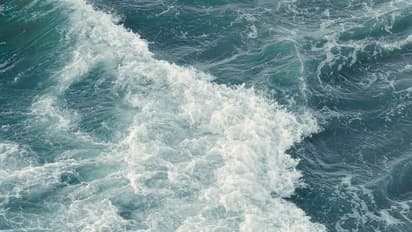 দূষণের হাত থেকে সমুদ্রকে রক্ষার বার্তা দিতে পালিত হচ্ছে বিশ্ব সমুদ্র দিবস, জেনে নিন বিস্তারিত