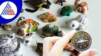 ವಾಸ್ತು ಪ್ರಕಾರ ಮನೆಯಲ್ಲಿ ಯಾವ ಪ್ರಾಣಿ ಸಾಕೋದು ಒಳ್ಳೇದು?