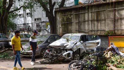 कार और बाइक पर गिर गया है पेड़ तो चिंता की बात नहीं, जानें क्लेम करने का तरीका