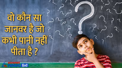 Tricky Questions: वो कौन सा जानवर है जो कभी पानी नहीं पीता, जानें क्या है इसका जवाब