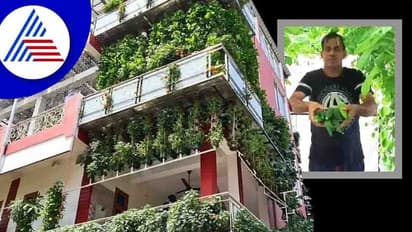 ಕಾಂಕ್ರೀಟ್ ಕಟ್ಟಡವಾಯಿತು ಹಚ್ಚ ಹಸಿರು, ಮೂರು ಅಂತಸ್ತಿನ ಮನೆಯಲ್ಲಿದೆ 10,000 ಗಿಡ !