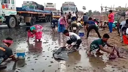 Watch: People loot fishes as truck overturns in Bihar