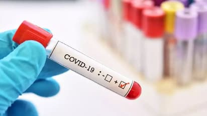 தமிழகத்தில் நாளுக்கு நாள் குறையும் கொரோனா பாதிப்பு… மக்கள் நிம்மதி பெருமூச்சு!!