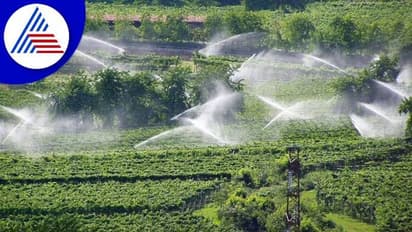 ‘ಮಧ್ಯಪ್ರದೇಶ ಮಾದರಿ’ ನೀರಾವರಿ ಯೋಜನೆ ಜಾರಿಗೆ ತಜ್ಞರ ಸಮಿತಿ