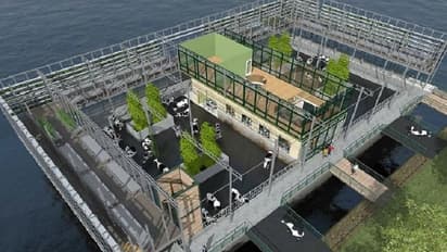 World Milk Day 2022: समुद्र में तैरता है यह डेयरी फार्म, रोबोट निकालता है दूध.. करोड़ों में होती है कमाई