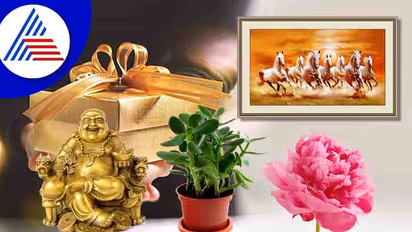 Gift ಕೊಡೋದಾದರೆ ಇದನ್ನೇ ಕೊಡಿ, ಪಡೆದವರಿಗೆ ಶುಭವಾಗುತ್ತೆ!