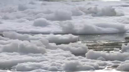 यमुना नदी में फिर दिखी जहरीले झाग की सफेद चादर, वीडियो हुआ वायरल  