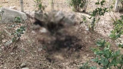 आगरा: सिपाही की लापता बेटी की हुई हत्या, सड़क किनारे जलते मिले शव की शिनाख्त के बाद हुआ खुलासा