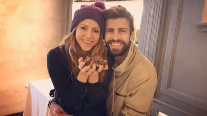 শুধু অবৈধ সম্পর্ক নয়, এটি শাকিরা-পিকের বিচ্ছেদের অন্যতম কারণ